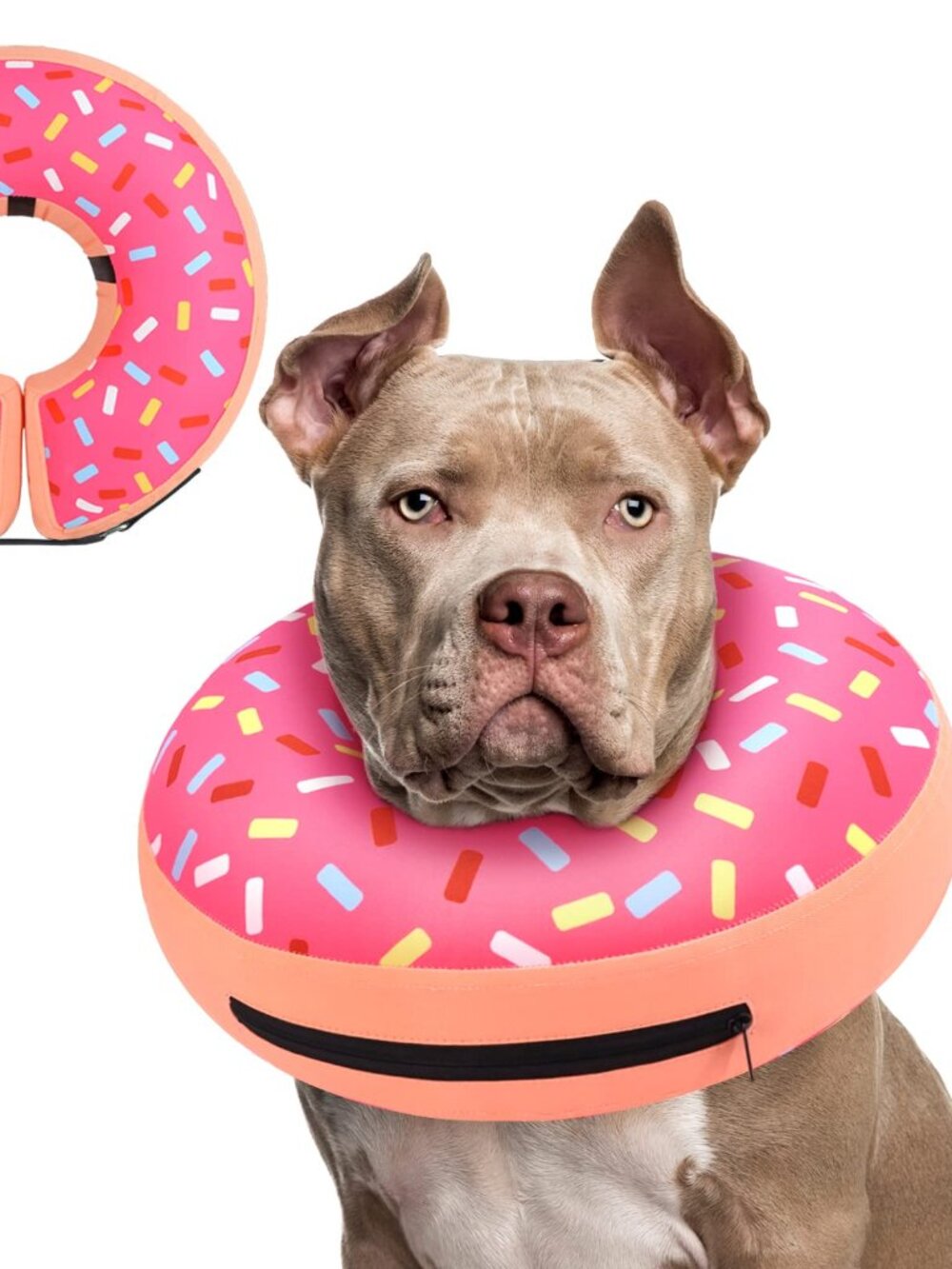 Inflatable Dog Cone Collar N5977